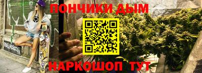 индика Тула