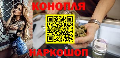 индика Тула