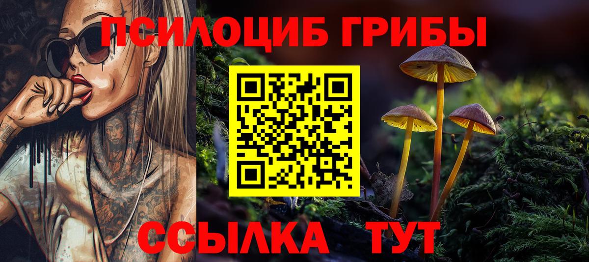 Галлюциногенные грибы Psilocybe  Вход с VPN  Алатырь 